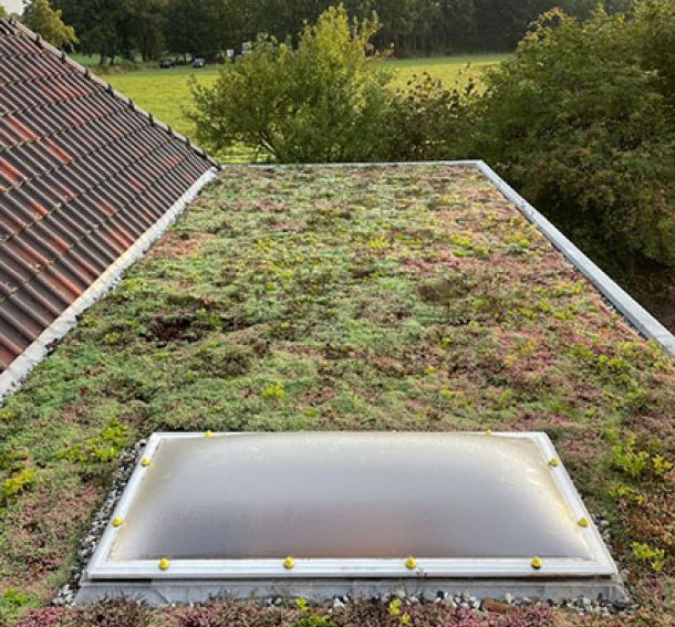 Realisatie Overkapping in Harreveld door Eekelder Bouw